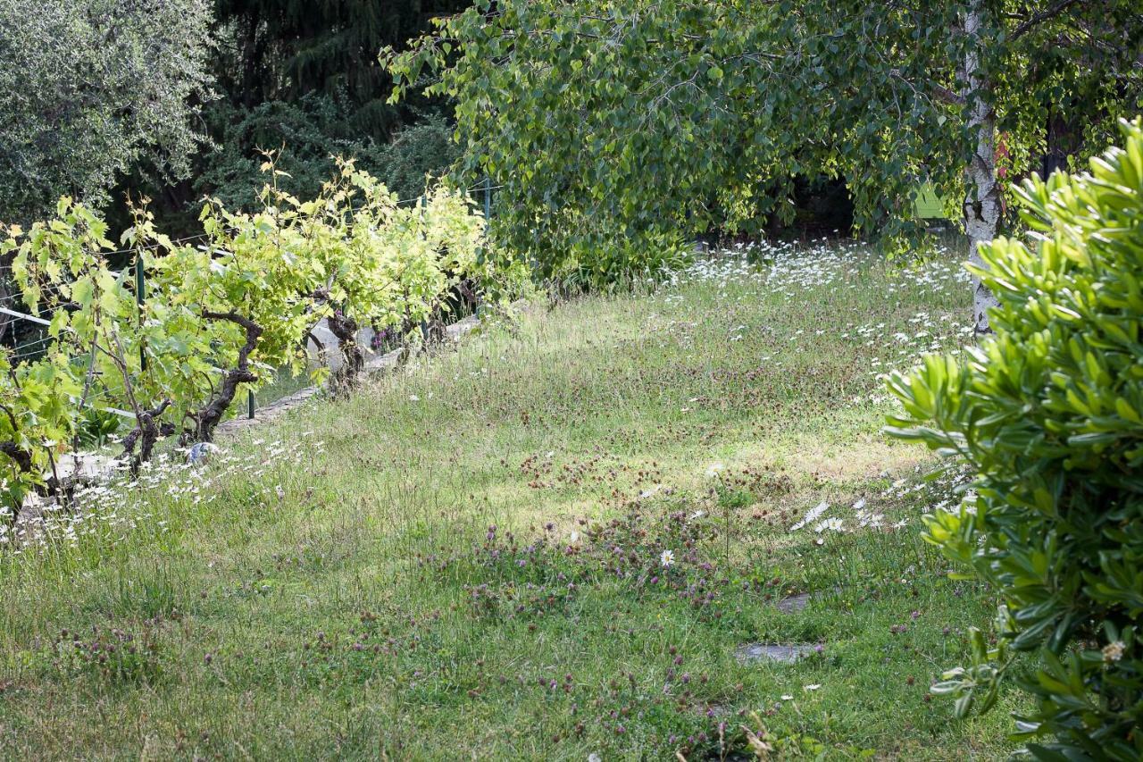 Residence Lou Naouc Grasse Exteriér fotografie
